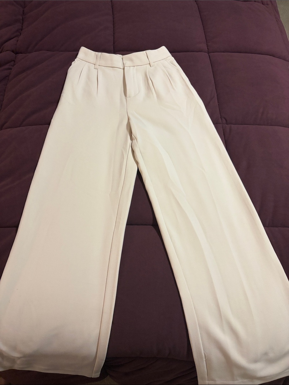 SO Cream Wide-Leg Pleated Dress Pants